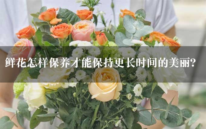 鲜花怎样保养才能保持更长时间的美丽？