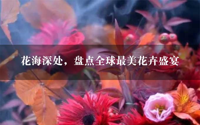 花海深处，盘点全球最美花卉盛宴