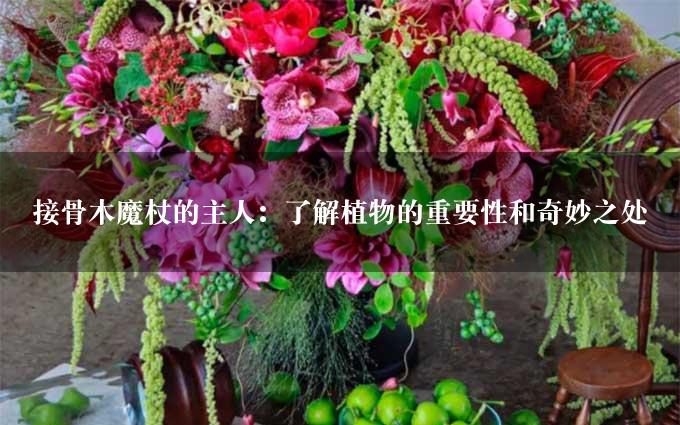 接骨木魔杖的主人：了解植物的重要性和奇妙之处