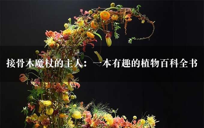 接骨木魔杖的主人：一本有趣的植物百科全书