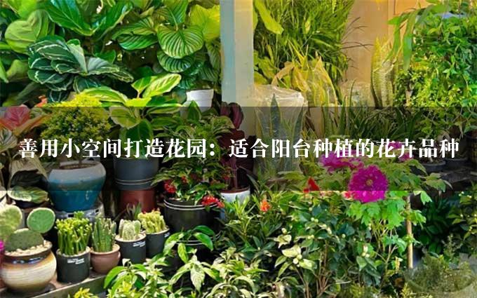 善用小空间打造花园：适合阳台种植的花卉品种