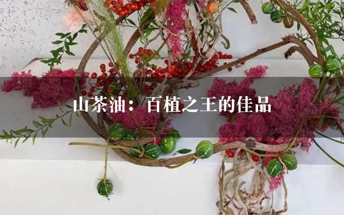 山茶油：百植之王的佳品