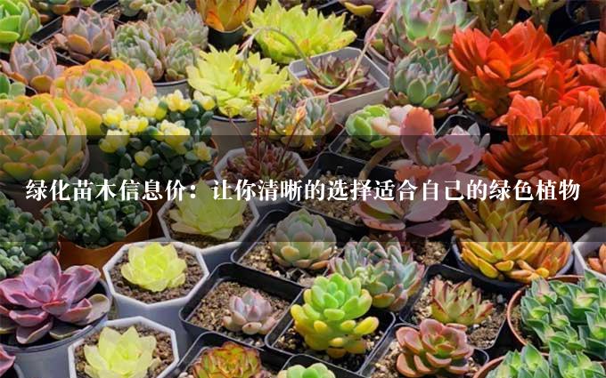 绿化苗木信息价：让你清晰的选择适合自己的绿色植物