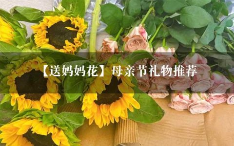 【送妈妈花】母亲节礼物推荐