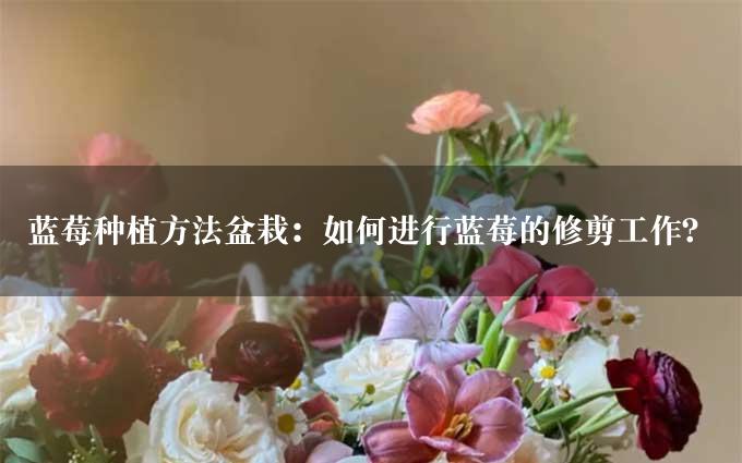 蓝莓种植方法盆栽：如何进行蓝莓的修剪工作？