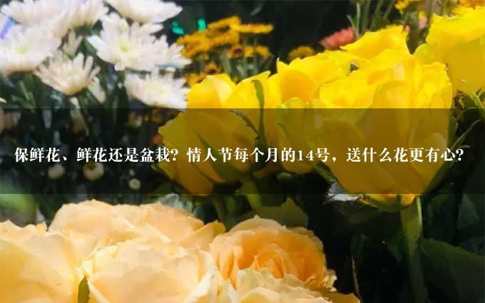 保鲜花、鲜花还是盆栽？情人节每个月的14号，送什么花更有心？