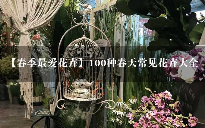 【春季最爱花卉】100种春天常见花卉大全