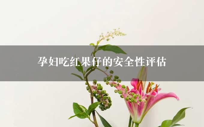 孕妇吃红果仔的安全性评估