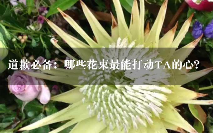 道歉必备：哪些花束最能打动TA的心？