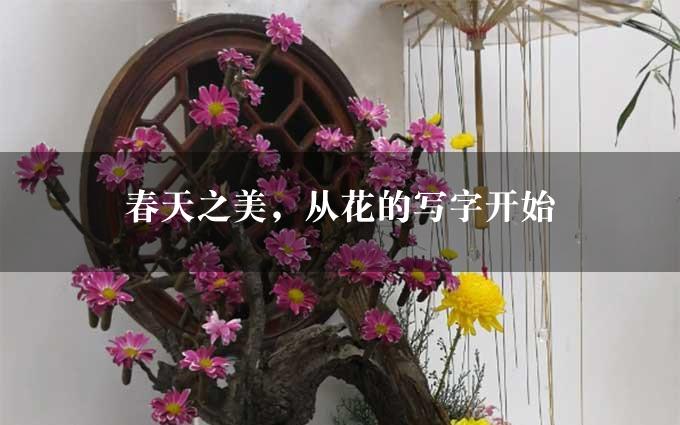 春天之美，从花的写字开始