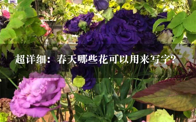 超详细：春天哪些花可以用来写字？