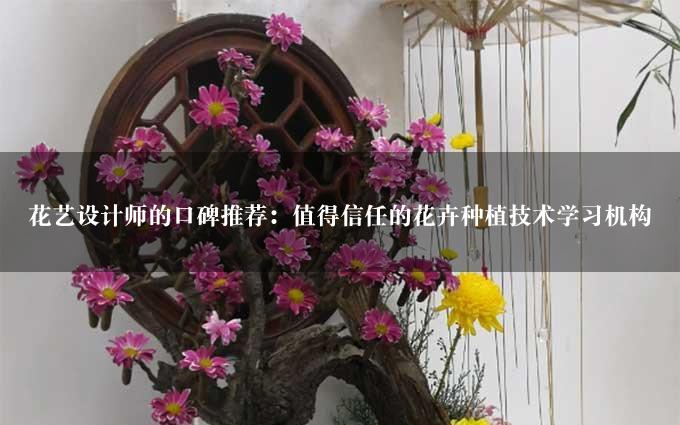 花艺设计师的口碑推荐：值得信任的花卉种植技术学习机构