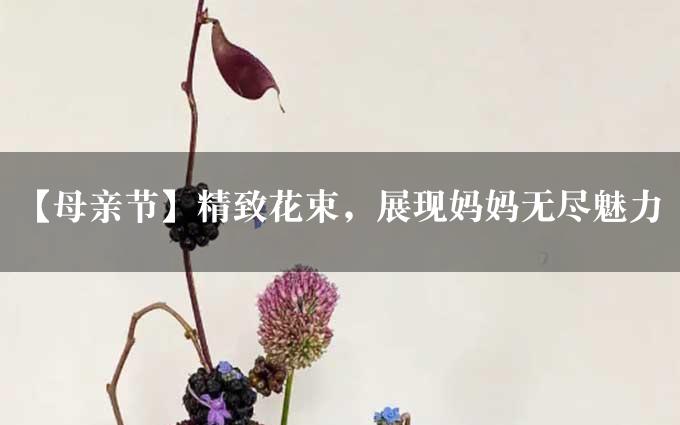 【母亲节】精致花束，展现妈妈无尽魅力