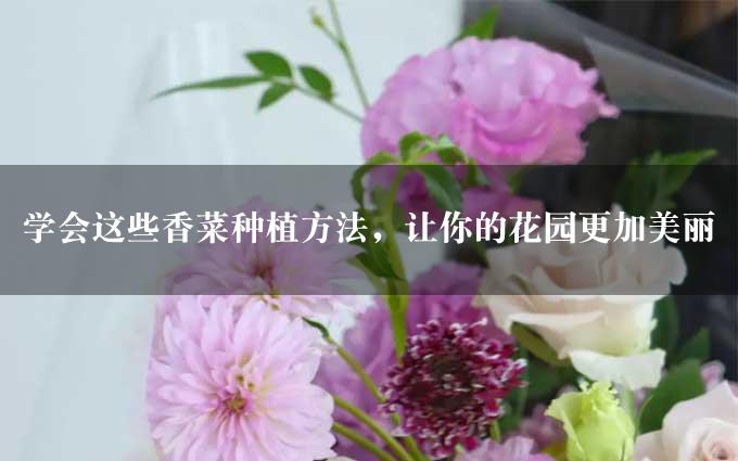 学会这些香菜种植方法，让你的花园更加美丽