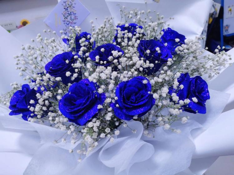 探寻蓝色妖姬的爱情故事——一枝令人迷醉的花种