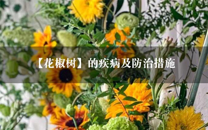 【花椒树】的疾病及防治措施