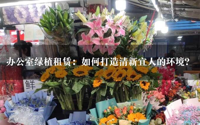 办公室绿植租赁：如何打造清新宜人的环境？