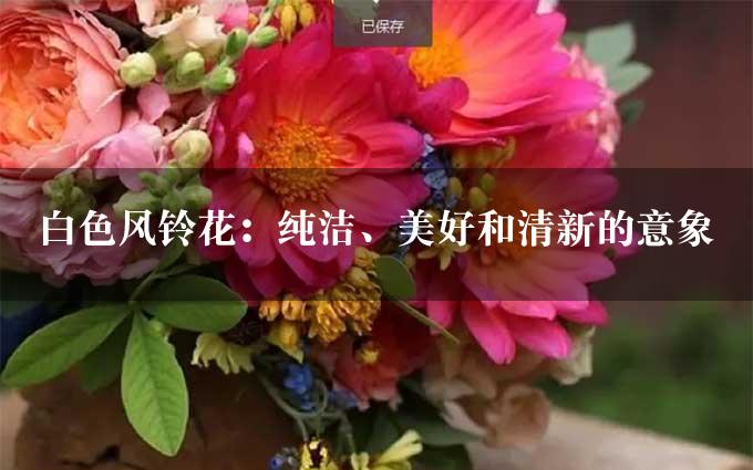 白色风铃花：纯洁、美好和清新的意象