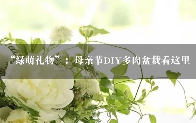 “绿萌礼物”：母亲节DIY多肉盆栽看这里