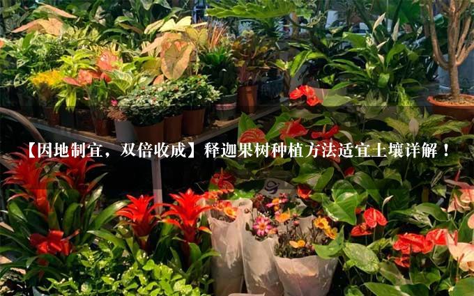 【因地制宜，双倍收成】释迦果树种植方法适宜土壤详解！