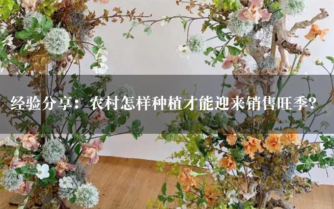 经验分享：农村怎样种植才能迎来销售旺季？