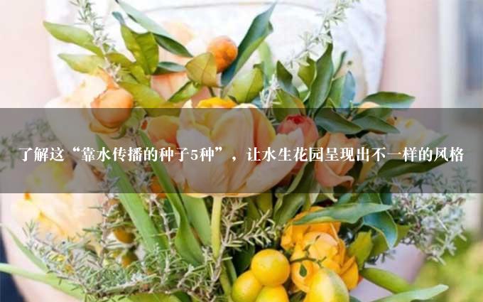 了解这“靠水传播的种子5种”，让水生花园呈现出不一样的风格