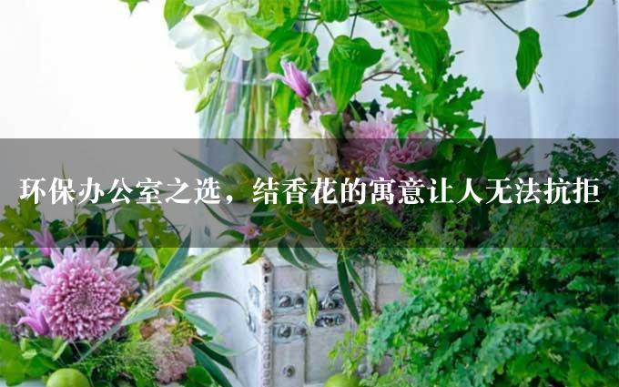 环保办公室之选，结香花的寓意让人无法抗拒