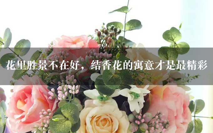 花里胜景不在好，结香花的寓意才是最精彩