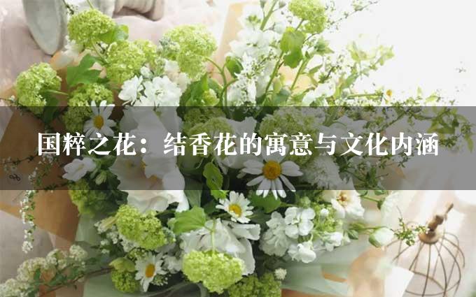 国粹之花：结香花的寓意与文化内涵