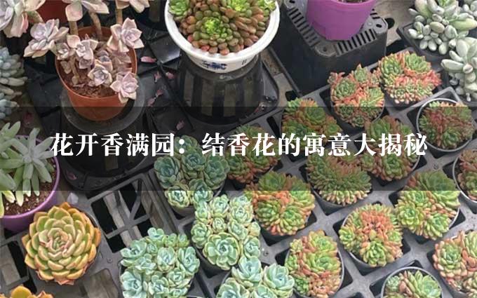 花开香满园：结香花的寓意大揭秘