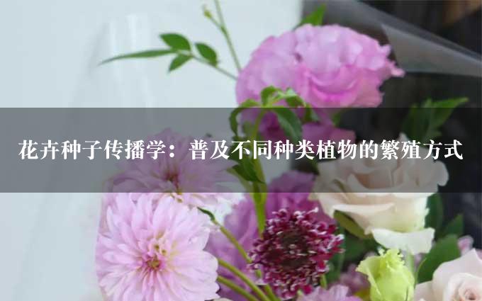 花卉种子传播学：普及不同种类植物的繁殖方式