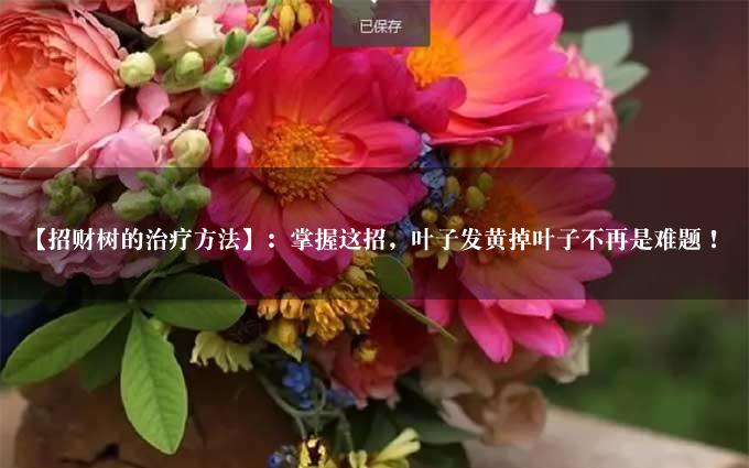 【招财树的治疗方法】：掌握这招，叶子发黄掉叶子不再是难题！