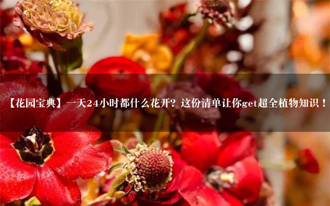 【花园宝典】一天24小时都什么花开？这份清单让你get超全植物知识！