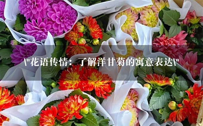 "花语传情：了解洋甘菊的寓意表达"