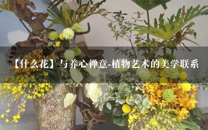 【什么花】与养心禅意-植物艺术的美学联系