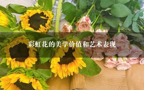 彩虹花的美学价值和艺术表现