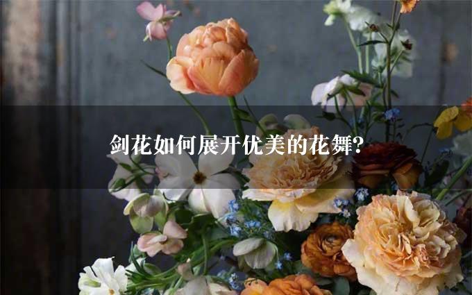 剑花如何展开优美的花舞？