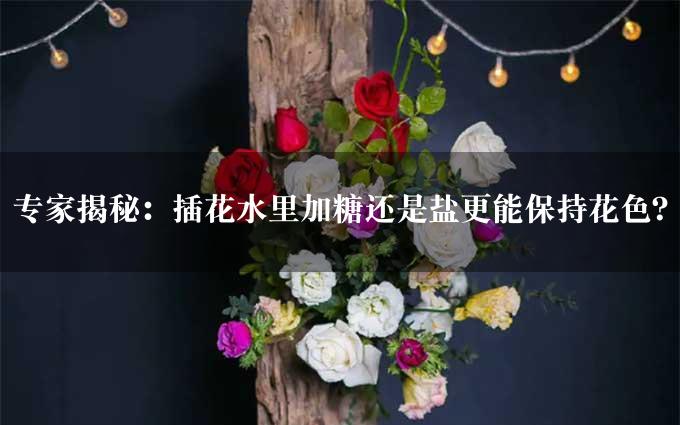 专家揭秘：插花水里加糖还是盐更能保持花色？