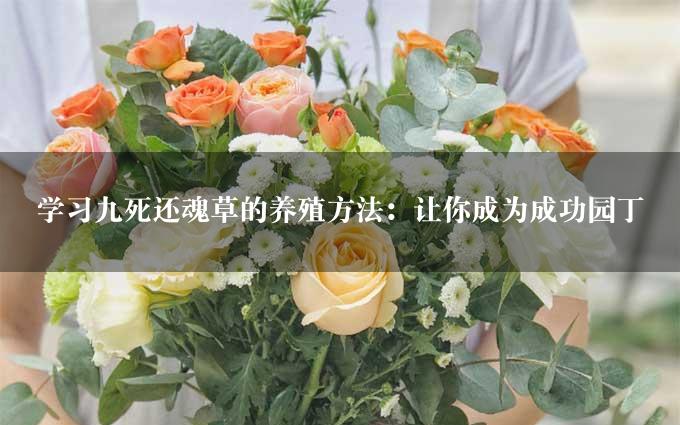 学习九死还魂草的养殖方法：让你成为成功园丁